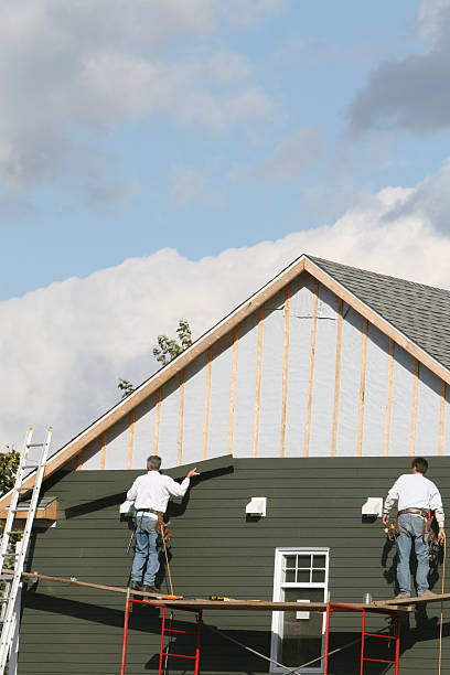 Best Attic Cleanout  in Holt, MI